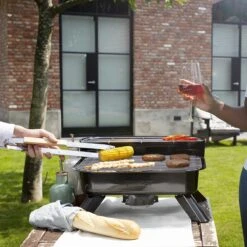 Princess 112252 Hybride Barbecue – Elektrische BBQ - Tafelmodel - 2000W - 44x 29cm - Gebruik Elektrisch Of Met Kolen 28 Princess 112252 Hybride Barbecue – Elektrische BBQ - Tafelmodel - 2000W - 44x 29cm - Gebruik Elektrisch Of Met Kolen -Keukengrill Winkel 1200x1200 450